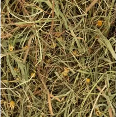Foin d'Herbes Camomille & Menthe Rodelicious 600gr - Deli Nature - 4,65 € - Deli Nature - 5411860815218 - Ornibird SRL