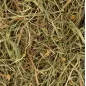 Foin d'Herbes Camomille & Menthe Rodelicious 600gr - Deli Nature Foin d'Herbes Camomille & Menthe Rodelicious 600gr - Deli Nature