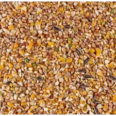 Graines Poulettes Pondeuses 20kg - Deli Nature - 10,95 € - Deli Nature - 5411860810213 - Ornibird SRL