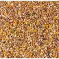 Graines Poulettes Pondeuses 20kg - Deli Nature