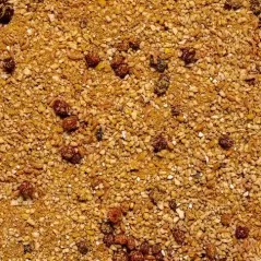 Uni Pâtée TOVO 1kg - Deli Nature - 7,20 € - Deli Nature - 5411860814969 - Ornibird SRL