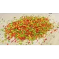Mix de Fruits 3,5kg - Grizo