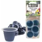 Coupe de fruit myrtille 6 pièces - Back Zoo Nature à 3,00 € - Back Zoo Nature - ZF9321 - Snacks