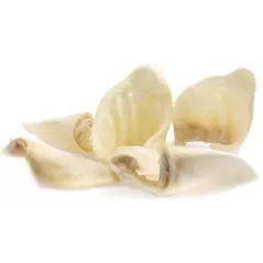 Oreille de Porc Soufflée 1pcs à 2,00 € - Grizo - 301150003 - Snack Bar