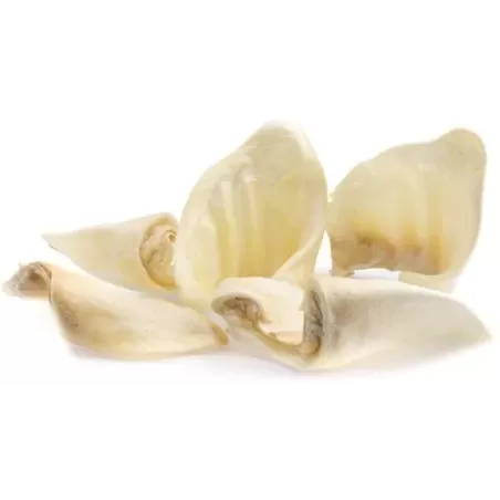 Oreille de Porc Soufflée 1pcs à 2,00 € - Grizo - 301150003 - Snack Bar