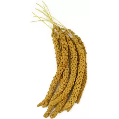 Millet Jaune en grappes Français 1kg - Grizo à 10,50 € - Grizo - 103077010 - Grappe