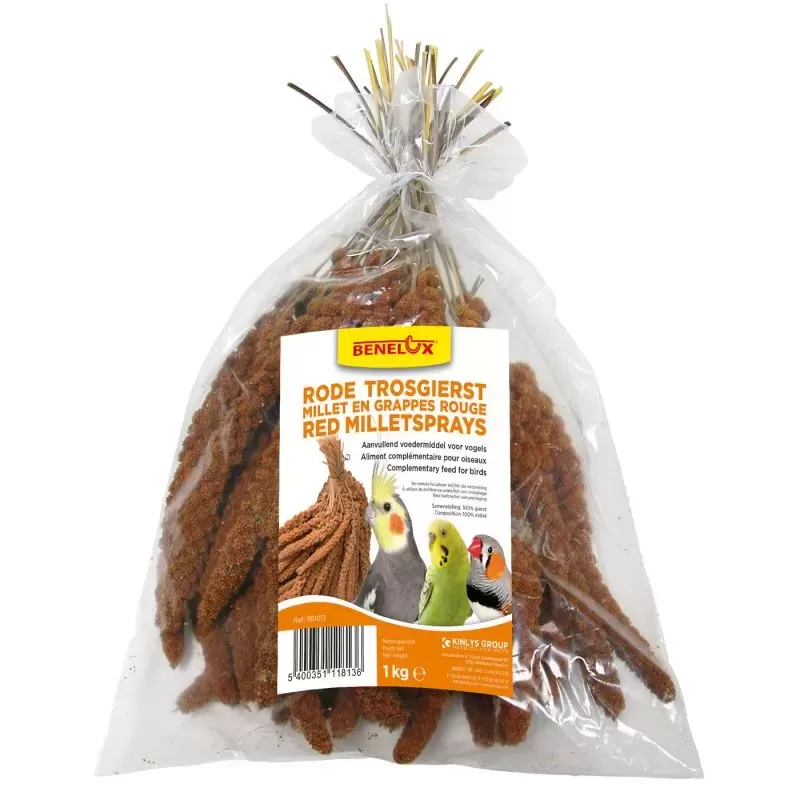 Millet Rouge en grappes Anjou 1kg