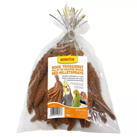 Millet Rouge en grappes Anjou 1kg - 14,25 € - Kinlys - 103076011