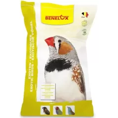 Mélange Exotiques (Small) Superieur 20kg - Benelux à 34,95 € - Kinlys - 1210109 - Exotiques