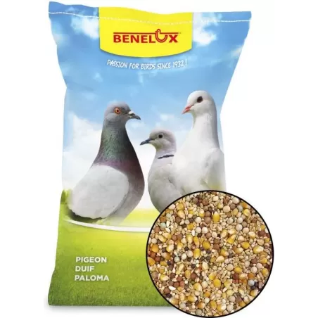 Primus Pigeon Race Mix 20kg - Benelux à 22,95 € - Kinlys - 12244 - Alimentation