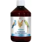 Gustoso Equilibre Intestinal 500ml - Benelux Gustoso Equilibre Intestinal 500ml - Benelux