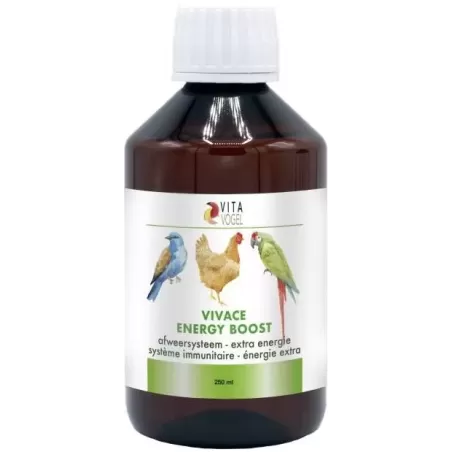 Vivace Boost d'Energie 250ml - Benelux à 17,95 € - Kinlys - V250 - Vitamines et Compléments
