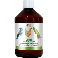 Vivace Boost d'Energie 500ml - Benelux à 26,95 € - Kinlys - V500 - Vitamines et Compléments