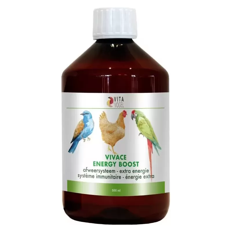 Vivace Boost d'Energie 500ml - Benelux Vivace Boost d'Energie 500ml - Benelux