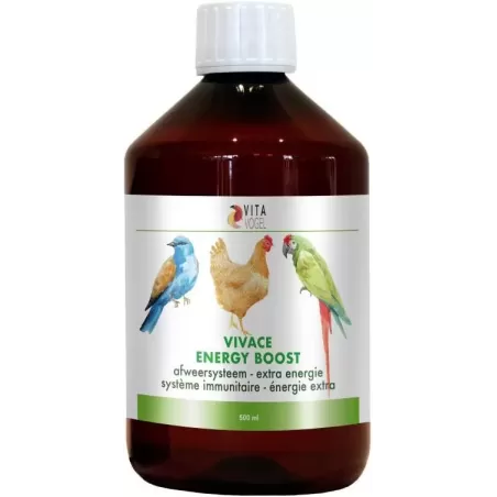 Vivace Boost d'Energie 500ml - Benelux à 26,95 € - Kinlys - V500 - Vitamines et Compléments