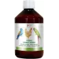 Vivace Boost d'Energie 500ml - Benelux à 26,95 € - Kinlys - V500 - Vitamines et Compléments