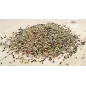 Bird-X Canaris avec Fruits 5kg - Grizo