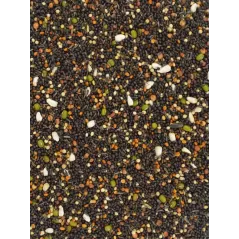Bird-X Graines à Germer Canaris et Pinson 1kg - Grizo - 2,95 € - Grizo - 3000000233191 - Ornibird SRL