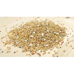 Bird-X Perruche avec Cardy 1kg - Grizo - 2,25 € - Grizo - 5400170000568 - Ornibird SRL