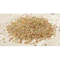 Bird-X Perruche avec Fruits 5kg - Grizo - 10,25 € - Grizo - 5400170019652 - Ornibird SRL