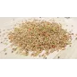 Bird-X Perruche avec Fruits 5kg - Grizo
