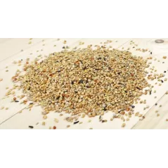 Bird-X Exotique 5kg - Grizo - 9,95 € - Grizo - 5400170000292 - Ornibird SRL
