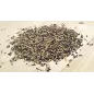 Bird-X Tarin Chardonneret 5kg - Grizo Bird-X Tarin Chardonneret 5kg - Grizo