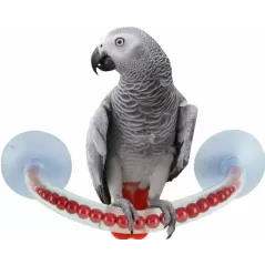 Bird-X Perroquets avec noix 12,5kg - Grizo - 38,95 € - Grizo - 3000000233573 - Ornibird SRL