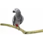 Perchoir Long en Teck 80-95cm - Back Zoo Nature Perchoir Long en Teck 80-95cm - Back Zoo Nature