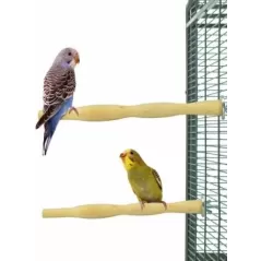 Perchoir Double 25cm - Back Zoo Nature - 5,95 € - Back Zoo Nature - 8714835125419 - Ornibird SRL