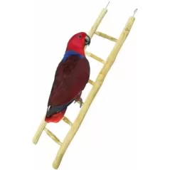 Echelle Java 60cm - Back Zoo Nature à 10,95 € - Back Zoo Nature - ZF1122 - Perchoirs