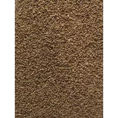 Fonio Gold 25kg à 229,95 € - Grizo - 103046250 - Graines simples
