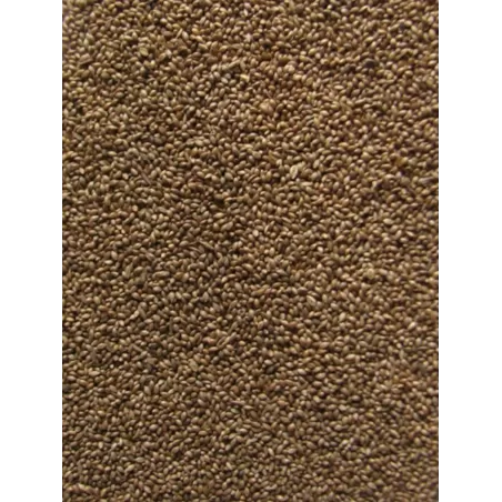 Fonio Gold 25kg à 229,95 € - Grizo - 103046250 - Graines simples