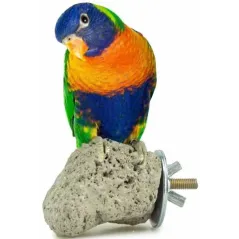 Pierre de Lave 8x8cm - Back Zoo Nature à 5,95 € - Back Zoo Nature - ZF1345 - Perchoirs
