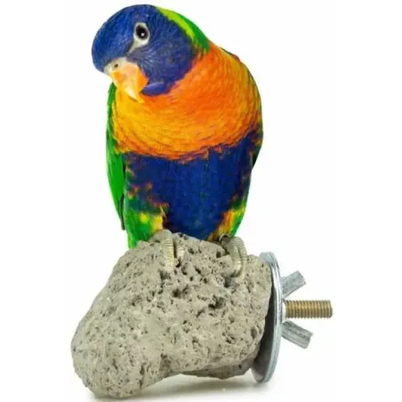 Pierre de Lave 8x8cm - Back Zoo Nature à 5,95 € - Back Zoo Nature - ZF1345 - Perchoirs