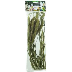 Setaria 30gr - Back Zoo Nature à 3,95 € - Back Zoo Nature - ZF1384 - Alimentation