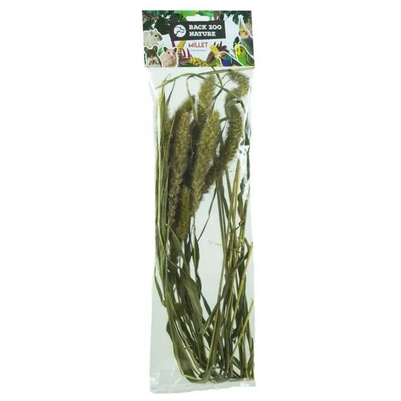 Setaria 30gr - Back Zoo Nature Setaria 30gr - Back Zoo Nature
