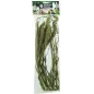 Setaria 30gr - Back Zoo Nature à 3,95 € - Back Zoo Nature - ZF1384 - Alimentation