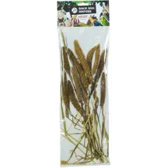 Setaria Italica 50gr - Back Zoo Nature à 3,95 € - Back Zoo Nature - ZF1385 - Alimentation