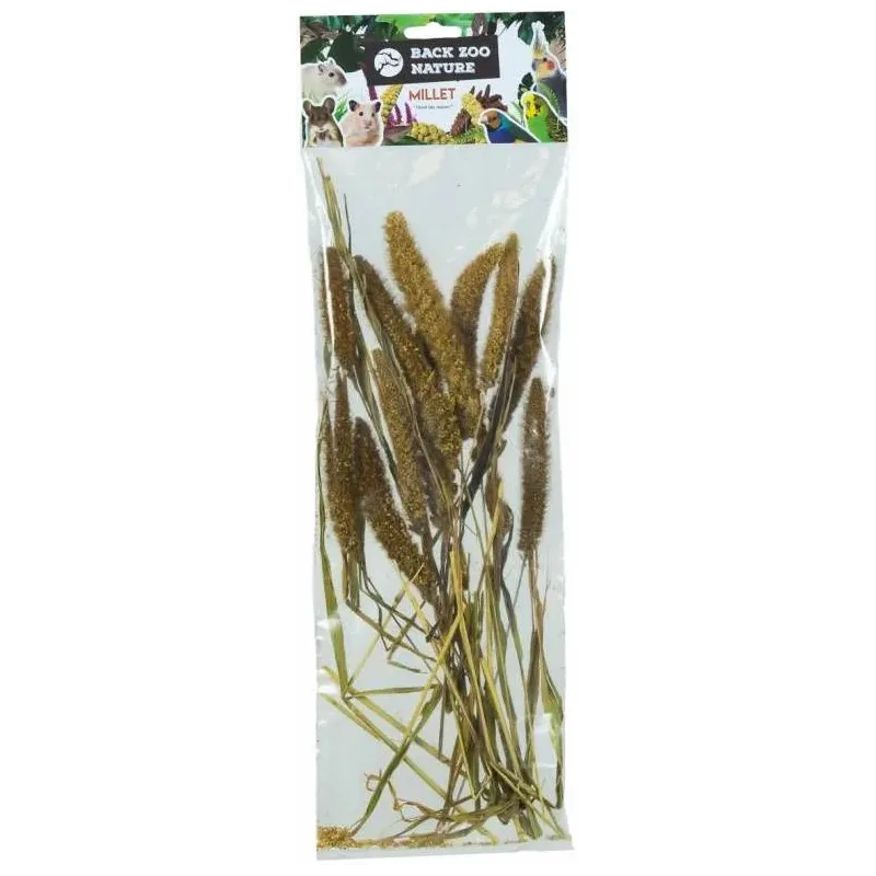 Setaria Italica 50gr - Back Zoo Nature Setaria Italica 50gr - Back Zoo Nature