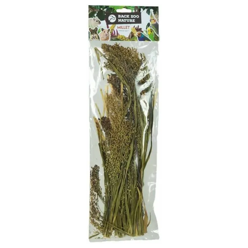 Panicum 40gr - Back Zoo Nature Panicum 40gr - Back Zoo Nature