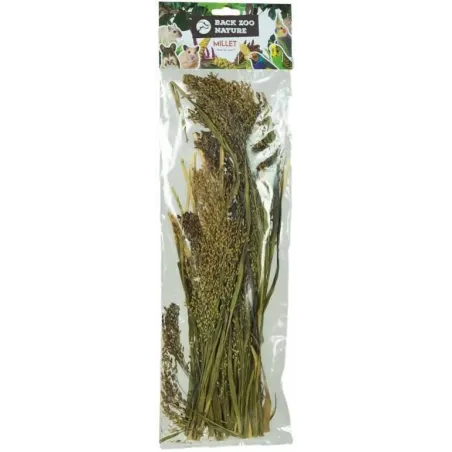 Panicum 40gr - Back Zoo Nature à 3,95 € - Back Zoo Nature - ZF1386 - Alimentation