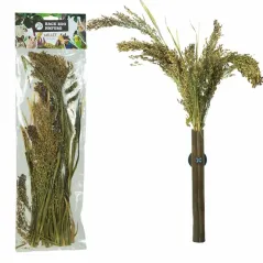 Panicum 40gr - Back Zoo Nature - 3,95 € - Back Zoo Nature - 8784251815492 - Ornibird SRL