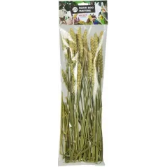 Wheat 50gr - Back Zoo Nature à 3,95 € - Back Zoo Nature - ZF1387 - Alimentation