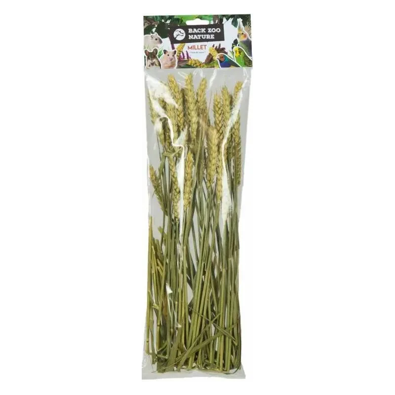 Wheat 50gr - Back Zoo Nature Wheat 50gr - Back Zoo Nature