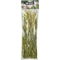 Wheat 50gr - Back Zoo Nature à 3,95 € - Back Zoo Nature - ZF1387 - Alimentation