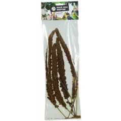 Millet Rouge Francais 150gr - Back Zoo Nature à 3,95 € - Back Zoo Nature - ZF1390 - Alimentation