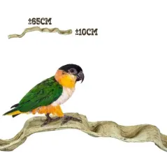 Band Liane 60-70cm - Back Zoo Nature - 7,95 € - Back Zoo Nature - 8784251818417 - Ornibird SRL