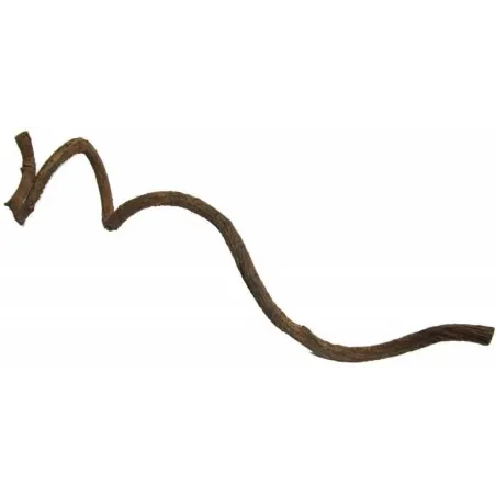 Curly Vine 60x1-2cm - Back Zoo Nature à 5,95 € - Back Zoo Nature - ZF1995 - Jouets