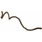 Curly Vine 60x1-2cm - Back Zoo Nature à 5,95 € - Back Zoo Nature - ZF1995 - Accueil